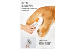 PETKIT 宠物去毛针梳